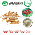 Health Food Red Ginseng Extract 50% Ginsenosides in Food Supplement